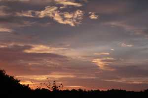 paysage