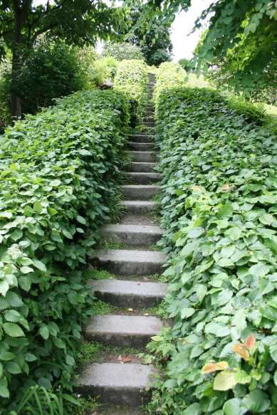 Jardins Albert Kahn