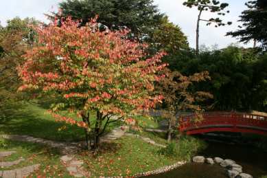 Jardins Albert Kahn