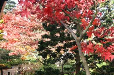 Jardins Albert Kahn