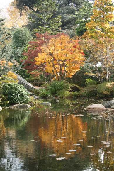 Jardins Albert Kahn