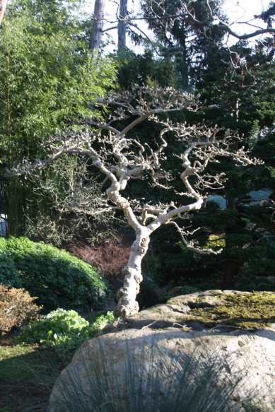Jardins Albert Kahn