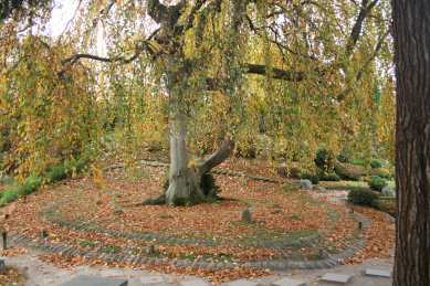 Jardins Albert Kahn
