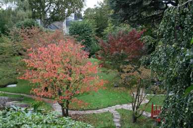 Jardins Albert Kahn