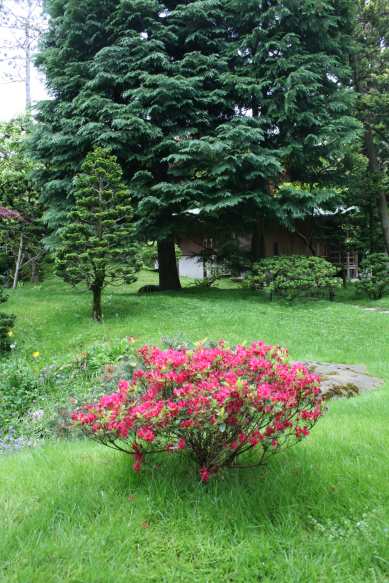 Jardins Albert Kahn