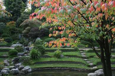 Jardins Albert Kahn