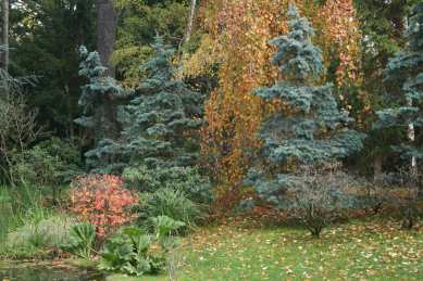 Jardins Albert Kahn