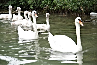 confinement