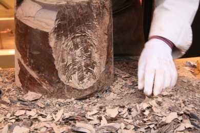Sculpteur sur Chocolat