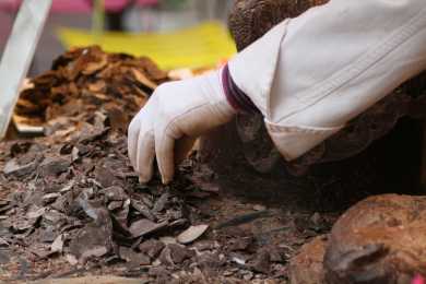 Sculpteur sur Chocolat