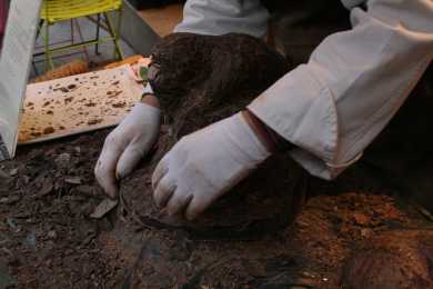 Sculpteur sur Chocolat