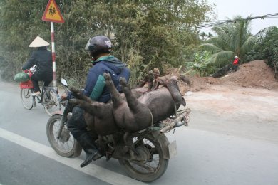 Vietnam
