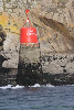 bateau bretagne mer