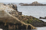 bateau bretagne mer