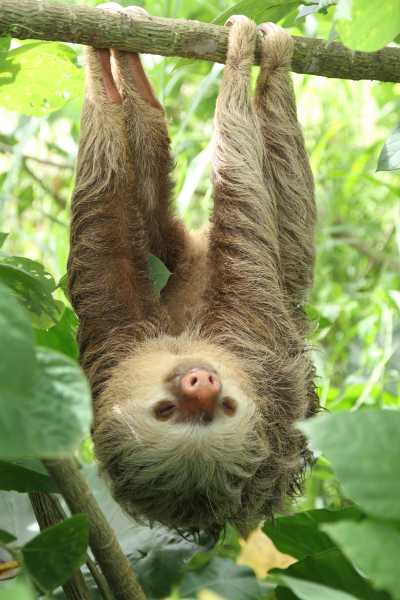 Costa Rica