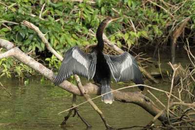 Costa Rica