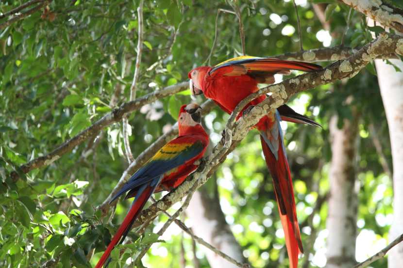 Costa Rica