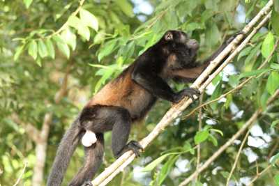 Costa Rica