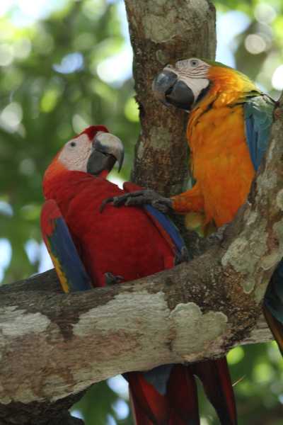 Costa Rica