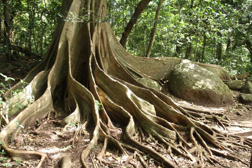 Costa Rica