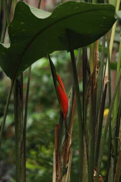 Costa Rica