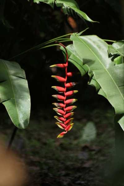 Costa Rica