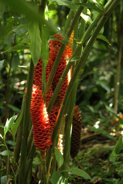Costa Rica