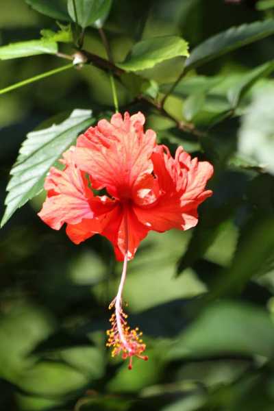 Costa Rica