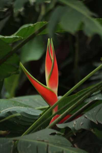 Costa Rica