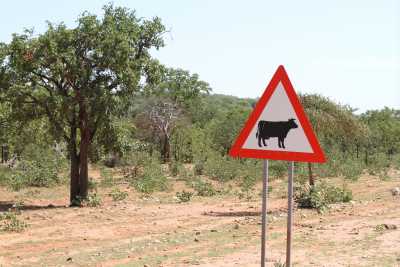 Namibie
