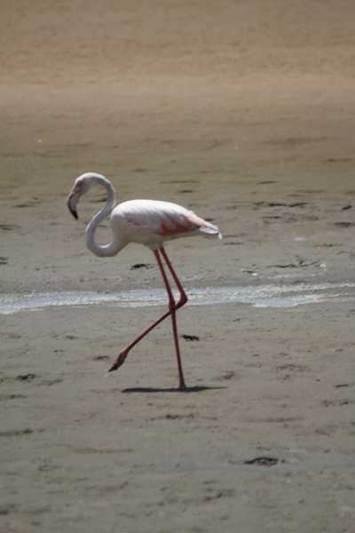 Namibie