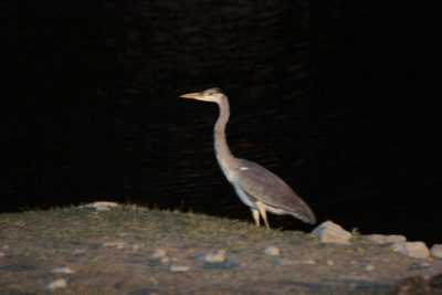 Namibie