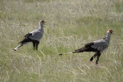 Namibie