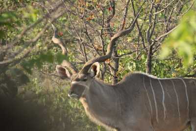 Namibie