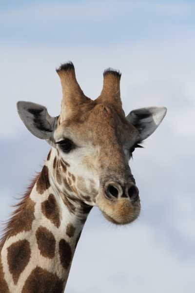 Namibie