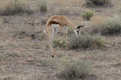 Namibie