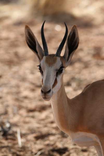 Namibie
