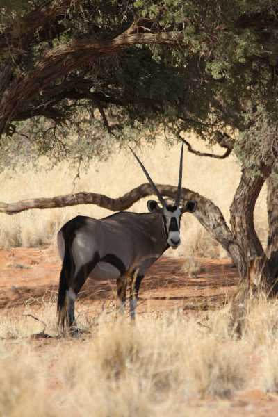 Namibie