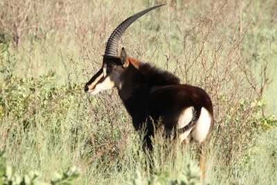 Namibie