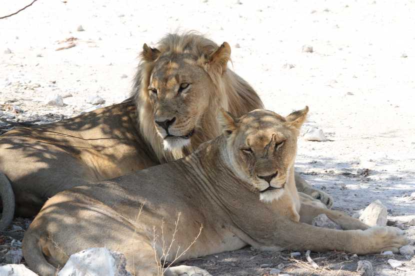 Namibie