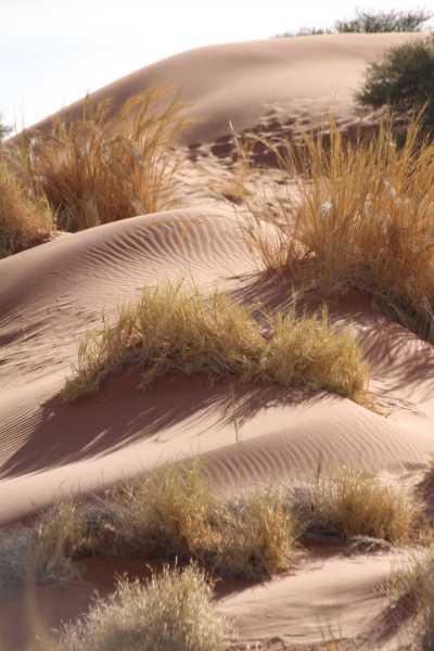 Namibie