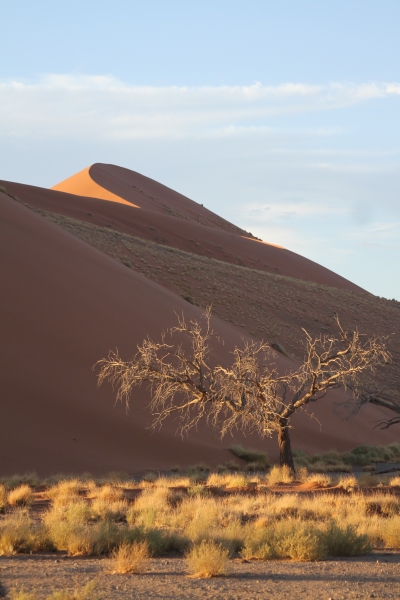 Namibie