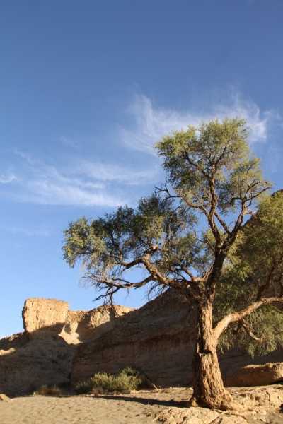 Namibie