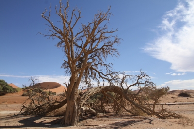 Namibie