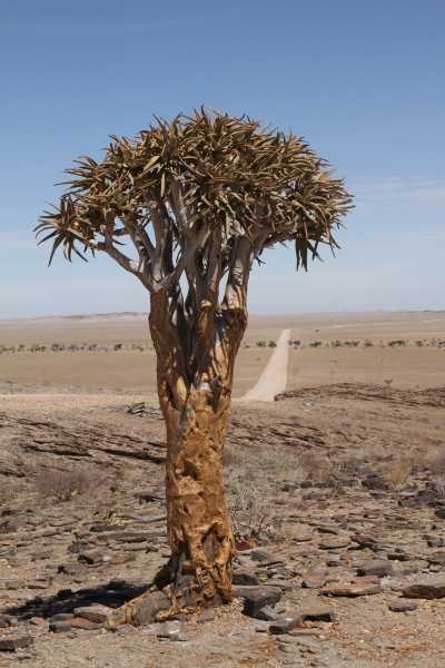 Namibie