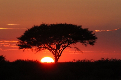 Namibie