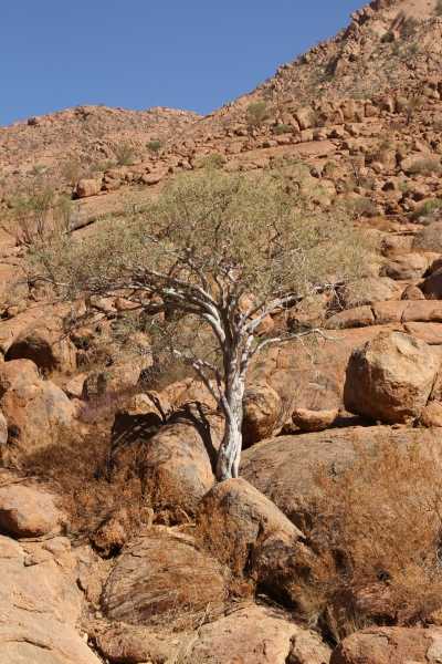 Namibie