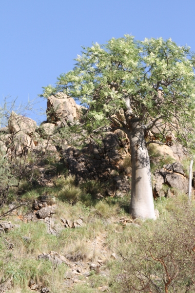 Namibie