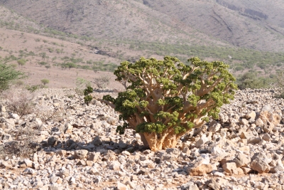 Namibie