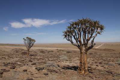 Namibie